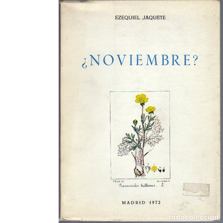 Libros: &iquest;Noviembre? Ezequiel Jaquete. - Foto 1