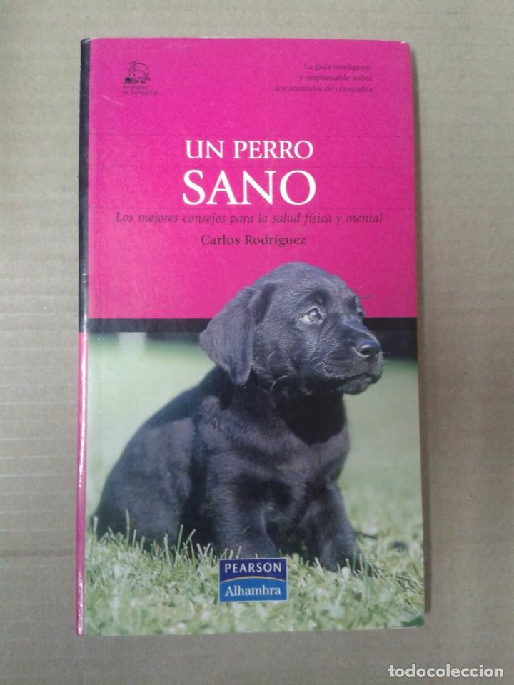Libros: Animales De Compa&ntilde;&iacute;a: Un Perro Sano. Carlos Rodriguez. CL - Foto 1