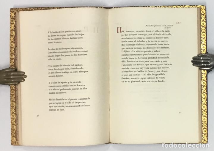 Libros: PR&Iacute;MULA. - ANDREIS, Ester de. - Foto 3