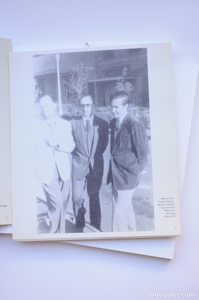 Libros: Ram&oacute;n Gaya. Del color y la palabra... - Foto 4