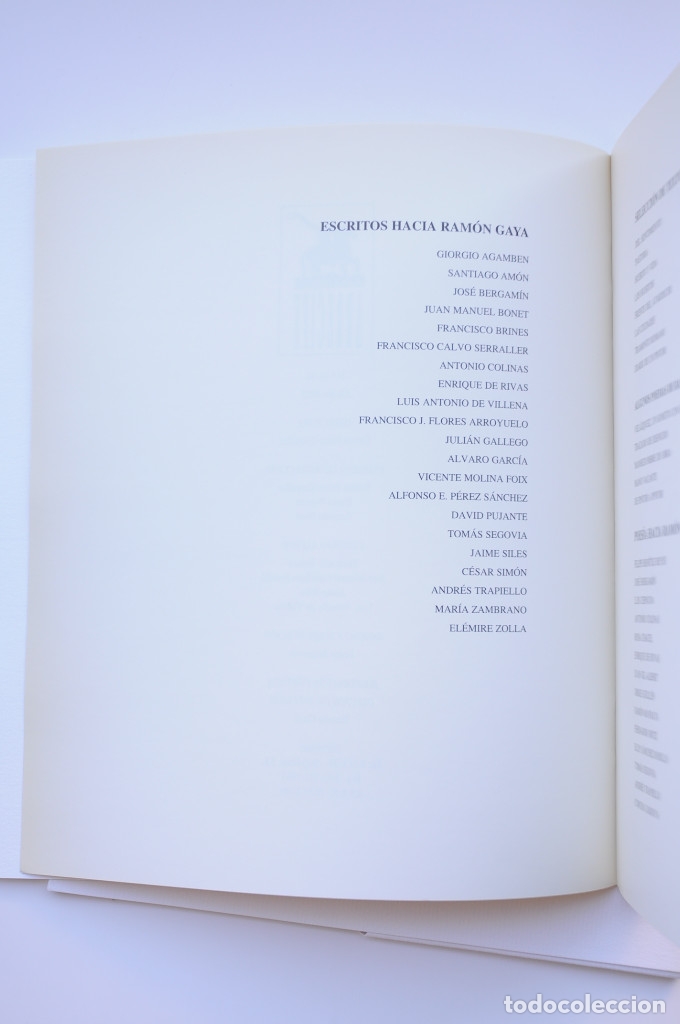 Libros: Ram&oacute;n Gaya. Del color y la palabra... - Foto 8