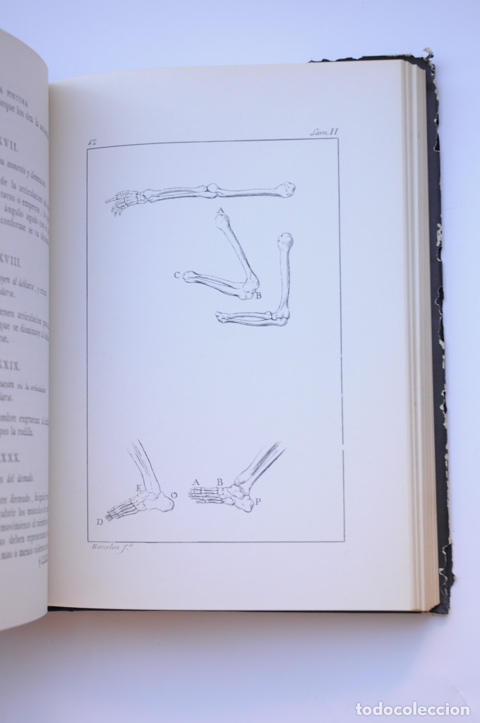 Libros: El Tratado de la pintura - VINCI, Leonardo da - Foto 5