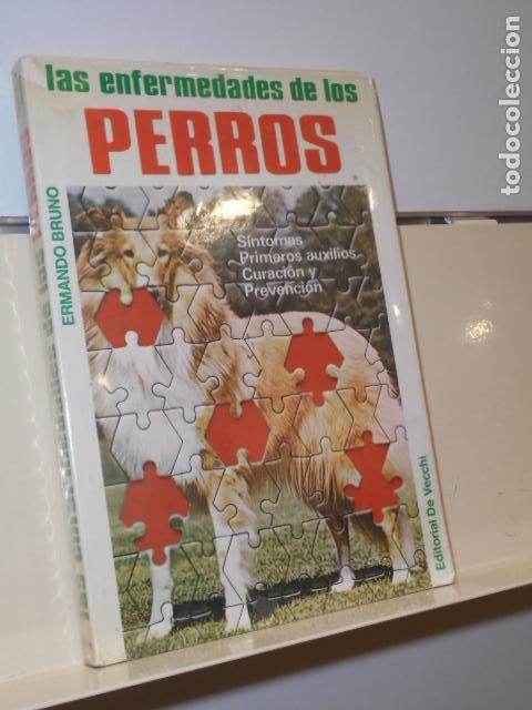 Libros: LAS ENFERMEDADES DE LOS PERROS ERMANDO BRUNO - EDITORIAL DE VECCHI - - Foto 1