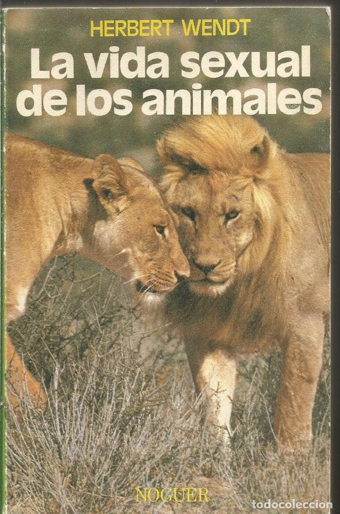 Libros: HERBERT WENDT. LA VIDA SEXUAL DE LOS ANIMALES - Foto 1