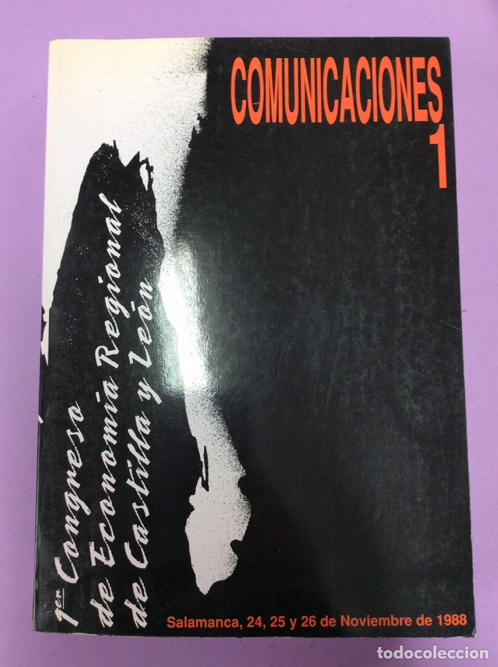 Libros: Comunicaciones 1 - 1&ordm;Congreso de econom&iacute;a regional de Castilla y Le&oacute;n - Salamanca