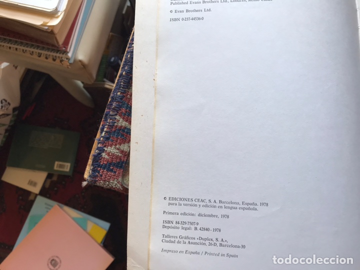 Libros: Pr&aacute;ctica del tapizado. C. Howes - Foto 3