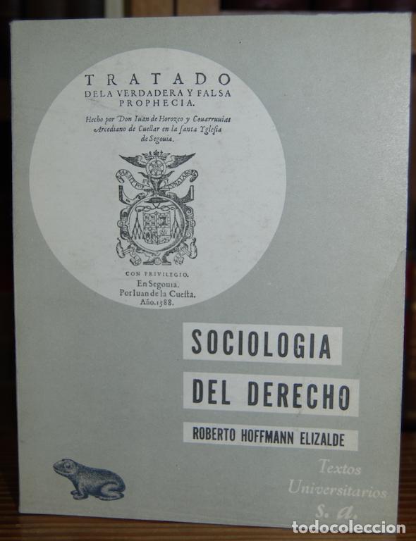 Libros: SOCIOLOGIA DEL DERECHO - HOFFMANN ELIZALDE, Roberto - Foto 1
