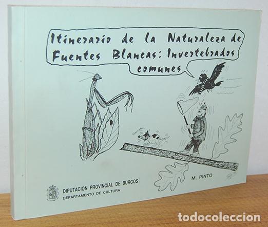 B&uuml;cher: ITINERARIO DE LA NATURALEZA DE FUENTES BLANCAS: INVERTEBRADOS COMUNES - M. PINTO