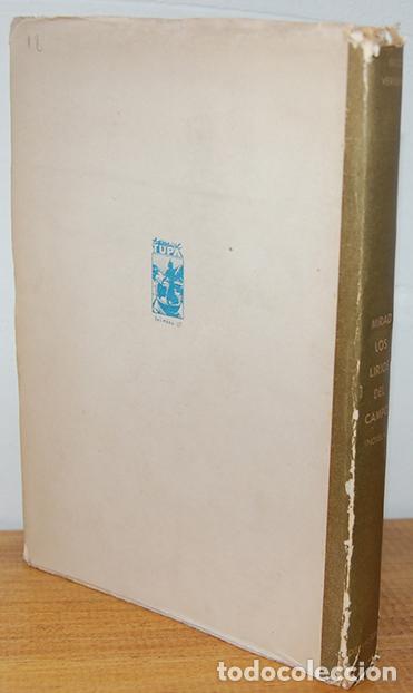 Libros: MIRAD LOS LIRIOS DEL CAMPO - ERICO VERISSIMO - Foto 2