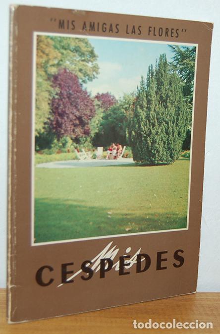 Libros: MIS C&Eacute;SPEDES - EQUIPO EDITORIAL - Foto 1