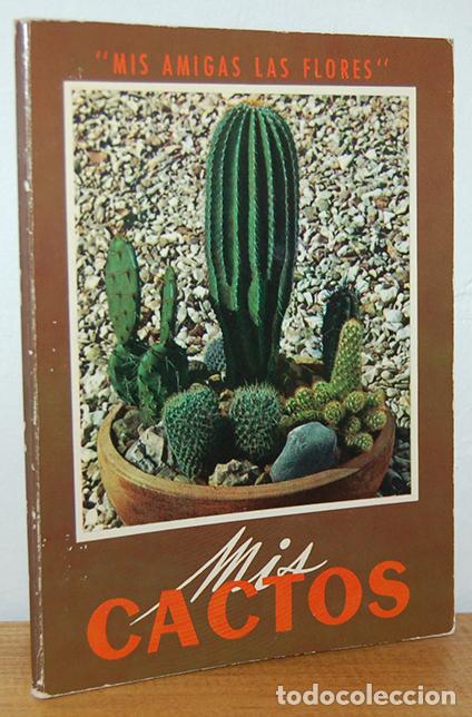 Libros: MIS CACTOS - EQUIPO EDITORIAL - Foto 1