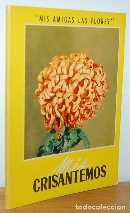 Libros: MIS CRISANTEMOS - EQUIPO EDITORIAL - Foto 1