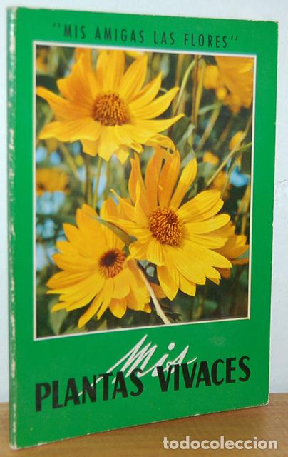 Libros: MIS PLANTAS VIVACES - EQUIPO EDITORIAL - Foto 1