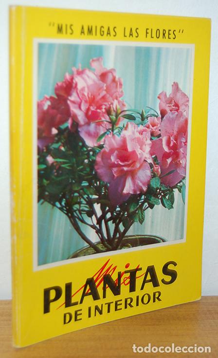 Libros: MIS PLANTAS DE INTERIOR - EQUIPO EDITORIAL - Foto 1