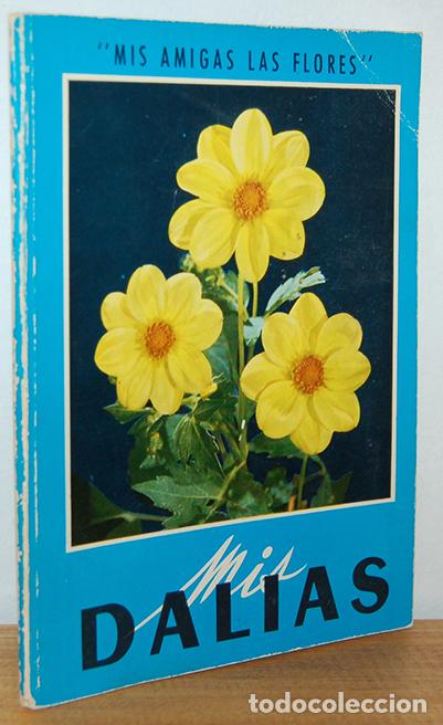 Libros: MIS DALIAS - EQUIPO EDITORIAL - Foto 1