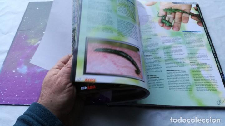 Libros: LIBRO GUINNESS DE LOS RECORDS 1999 MARCA - Foto 11