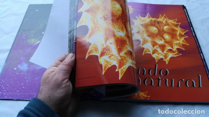 Libros: LIBRO GUINNESS DE LOS RECORDS 1999 MARCA - Foto 12