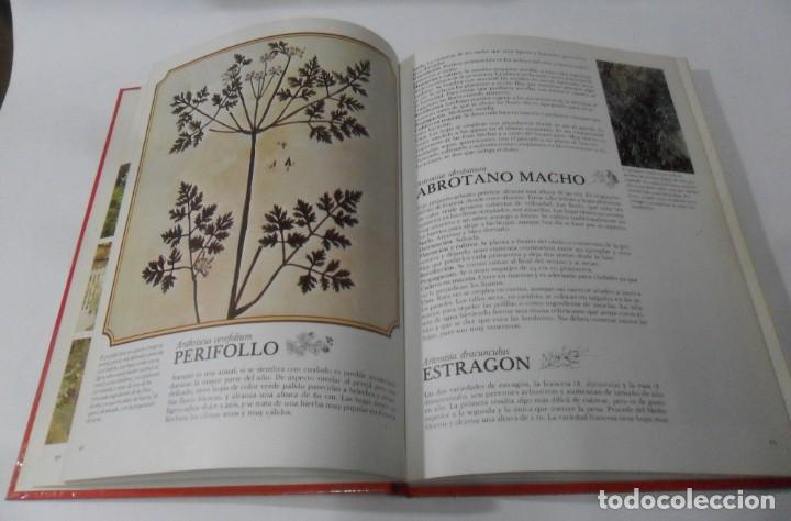 Libros: HIERBAS Y ESPECIAS - ED. JAIMES LIBROS - 1981 - Foto 3