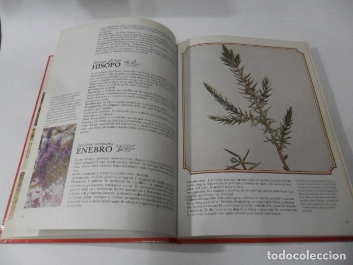 Libros: HIERBAS Y ESPECIAS - ED. JAIMES LIBROS - 1981 - Foto 4