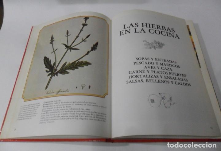 Libros: HIERBAS Y ESPECIAS - ED. JAIMES LIBROS - 1981 - Foto 5