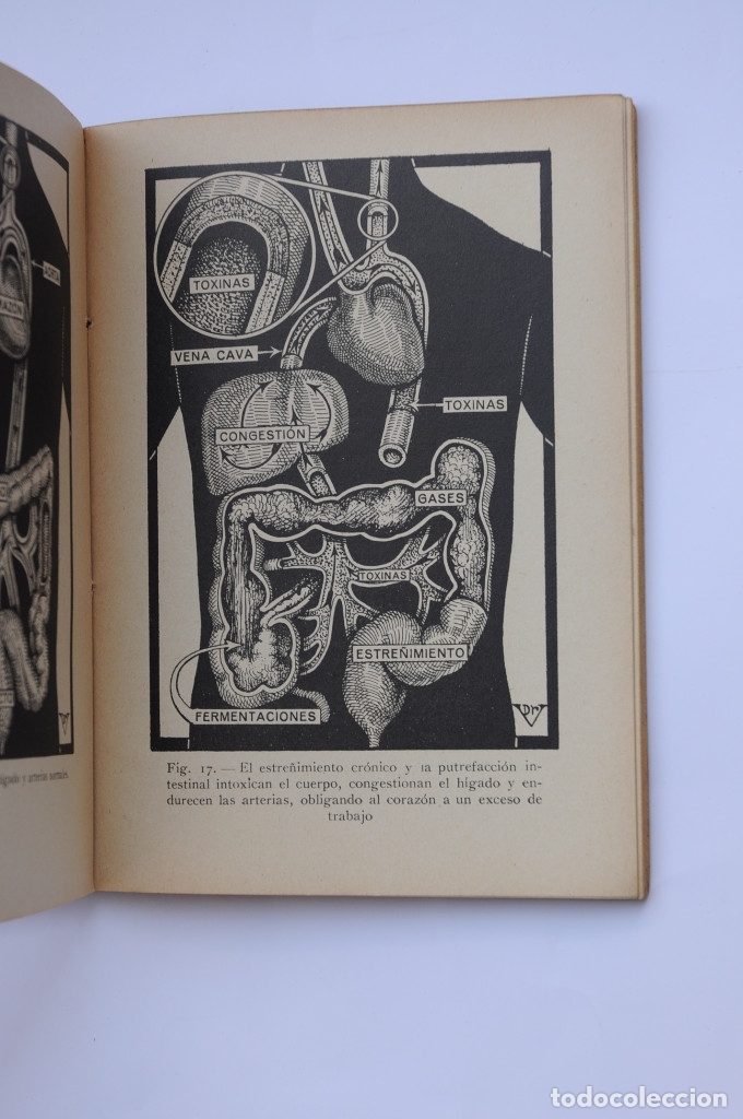 Libros: C&oacute;mo prolongar la juventud y curar la arterioesclerosis - VANDER, Adrian - Foto 5