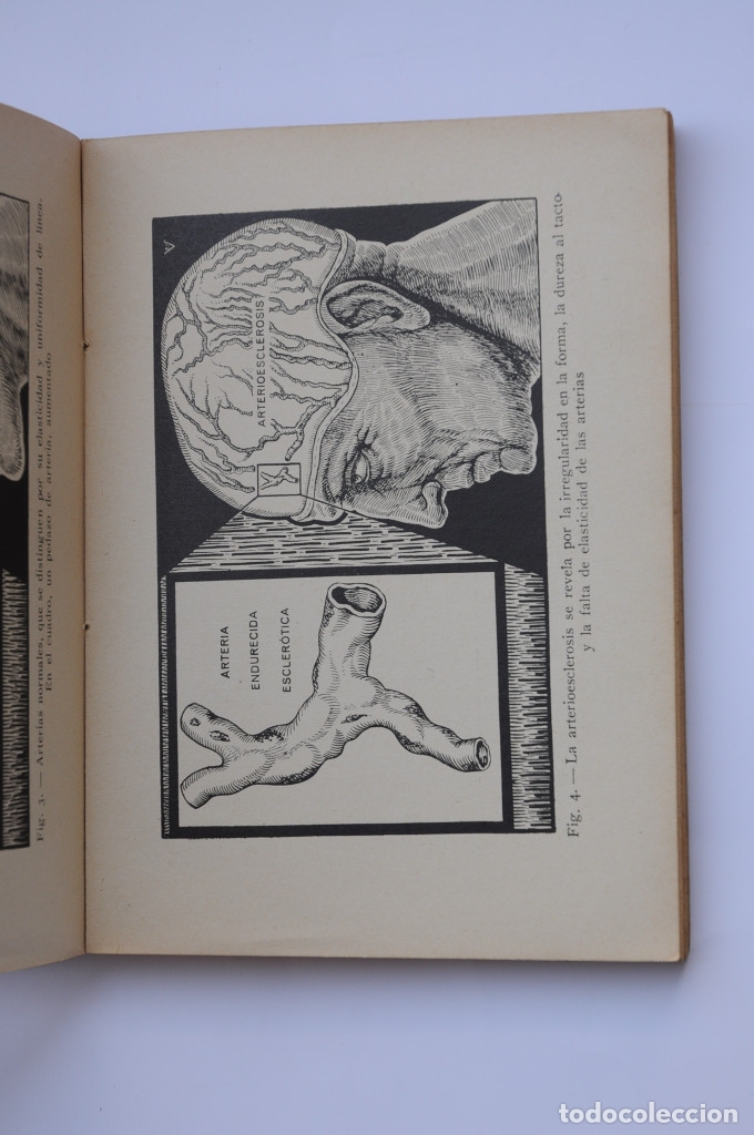 Libros: C&oacute;mo prolongar la juventud y curar la arterioesclerosis - VANDER, Adrian - Foto 6