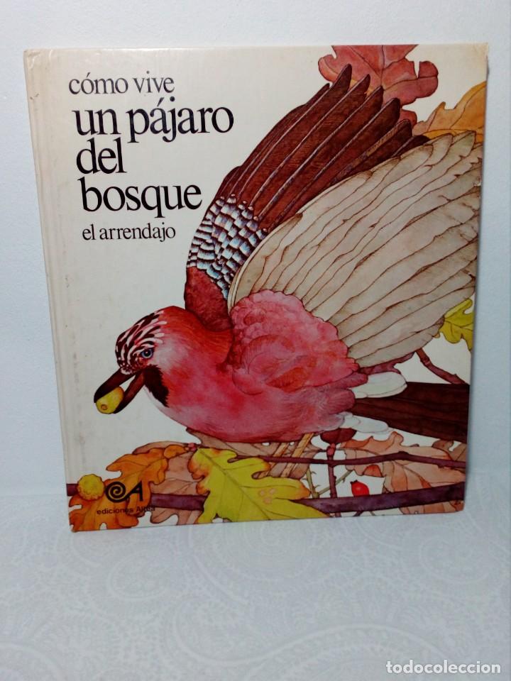 Libros: C&Oacute;MO VIVE UN P&Aacute;JARO DEL BOSQUE /EL ARRENDAJO/ (EDICIONES ALTEA) 1981 - Foto 1