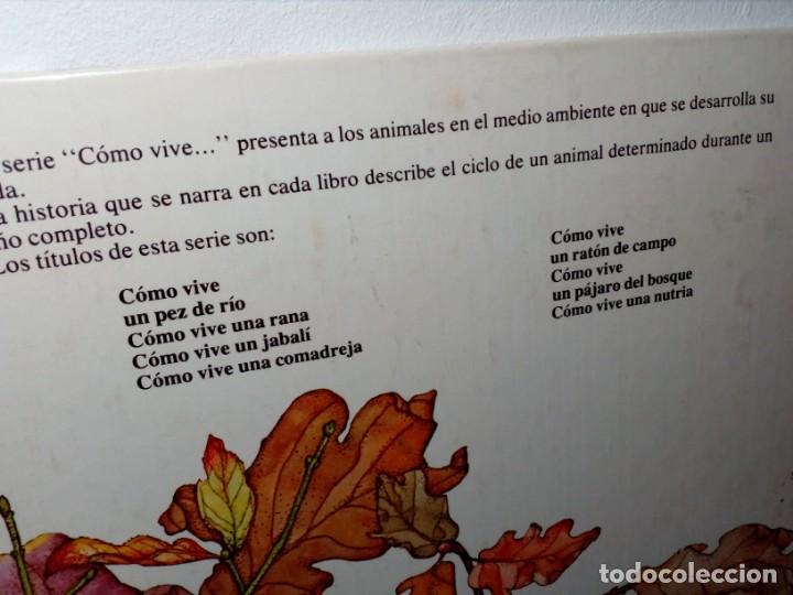 Libros: C&Oacute;MO VIVE UN P&Aacute;JARO DEL BOSQUE /EL ARRENDAJO/ (EDICIONES ALTEA) 1981 - Foto 3