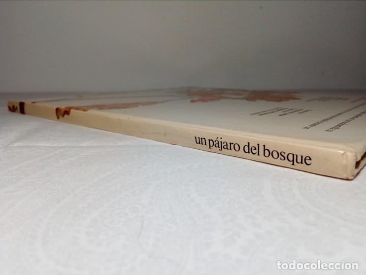Libros: C&Oacute;MO VIVE UN P&Aacute;JARO DEL BOSQUE /EL ARRENDAJO/ (EDICIONES ALTEA) 1981 - Foto 4