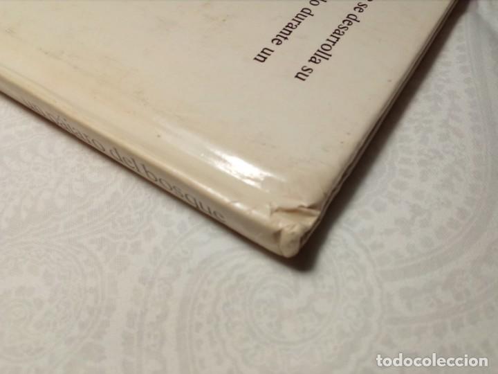 Libros: C&Oacute;MO VIVE UN P&Aacute;JARO DEL BOSQUE /EL ARRENDAJO/ (EDICIONES ALTEA) 1981 - Foto 5