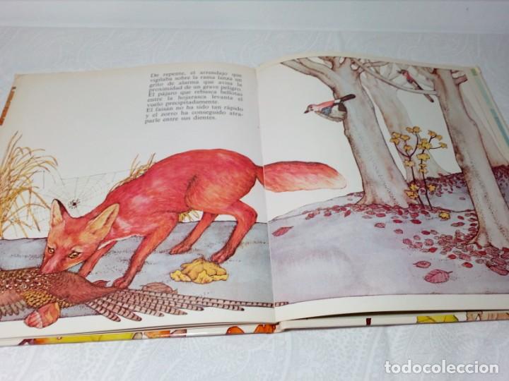 Libros: C&Oacute;MO VIVE UN P&Aacute;JARO DEL BOSQUE /EL ARRENDAJO/ (EDICIONES ALTEA) 1981 - Foto 10
