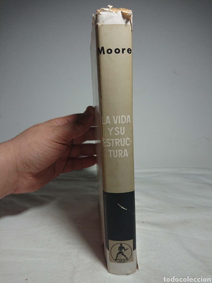Libros: La Vida y su Estructura, Ruth Moore, 1963 - Foto 2