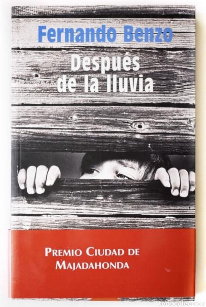 Libros: Despu&eacute;s de la lluvia, Fernando Benzo - Foto 1