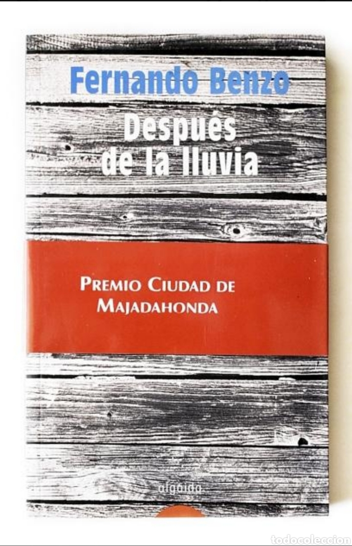 Libros: Despu&eacute;s de la lluvia, Fernando Benzo - Foto 1