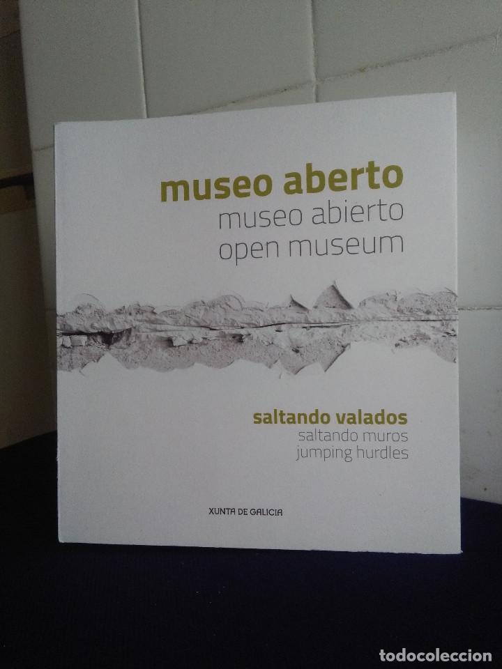 Libros: MUSEO ABERTO, SALTANDO VALADOS, XUNTA DE GALICIA - Foto 1