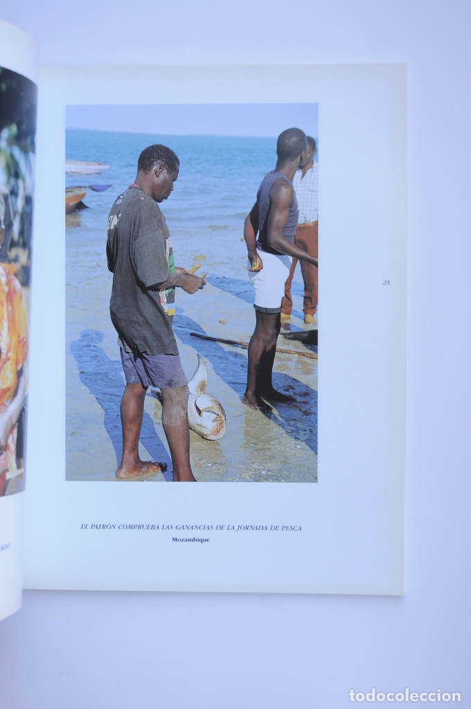 Libros: Javier Navas. Dinero vivo - NAVAS, Javier - Foto 4