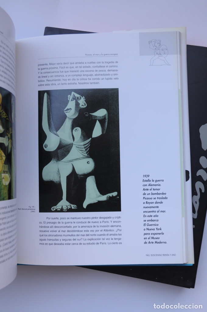 Libros: Mediterr&aacute;neo Picasso - MART&Iacute;NEZ BLASCO, Tom&aacute;s y Manuel - Foto 7