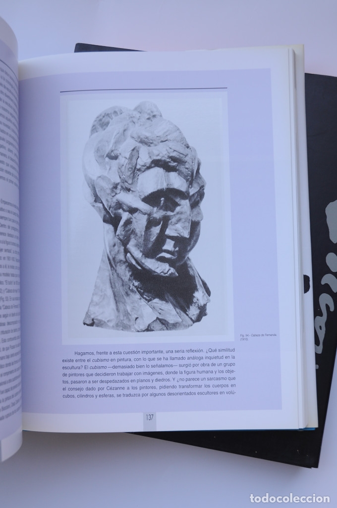 Libros: Mediterr&aacute;neo Picasso - MART&Iacute;NEZ BLASCO, Tom&aacute;s y Manuel - Foto 9
