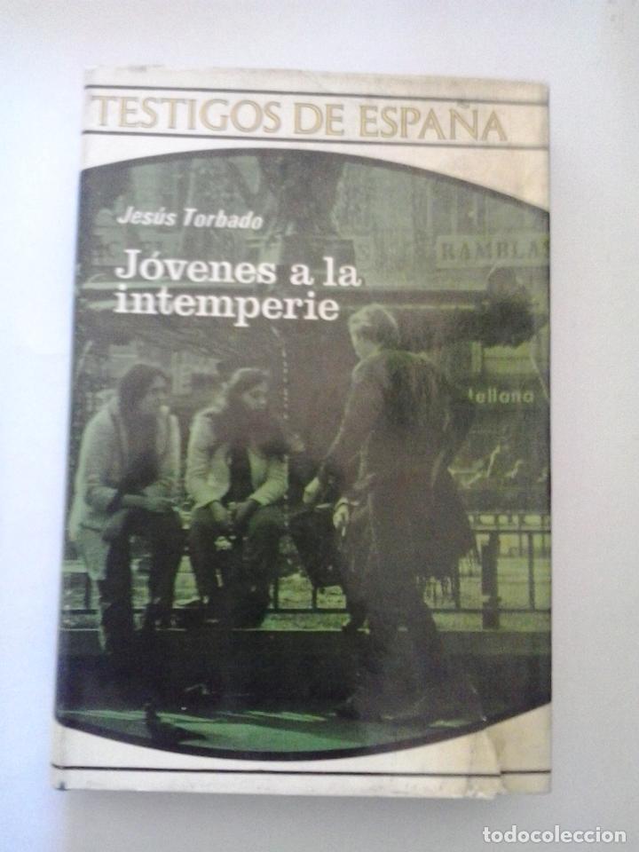 Libros: J&oacute;venes a la intemperie - Jes&uacute;s Torbado - Foto 1