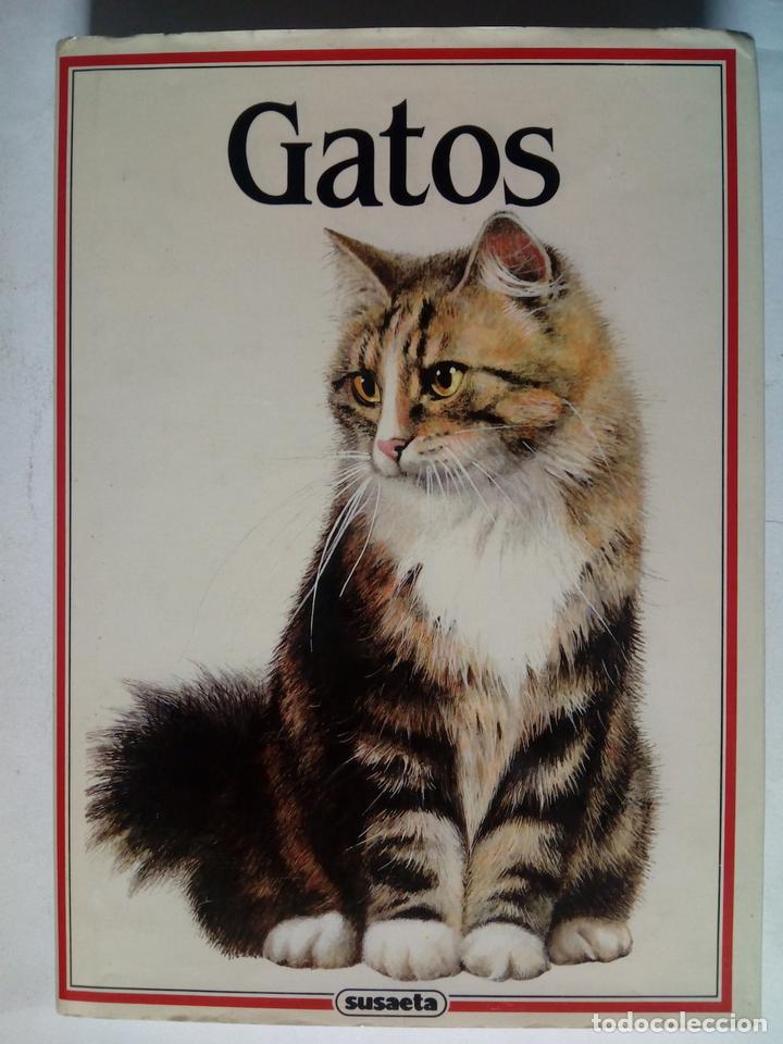 Libros: Gatos - Albert Pintera - Foto 1