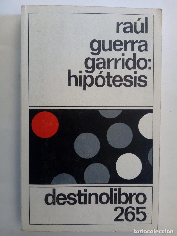 Libros: Hip&oacute;tesis - Ra&uacute;l Guerra Garrido - Foto 1
