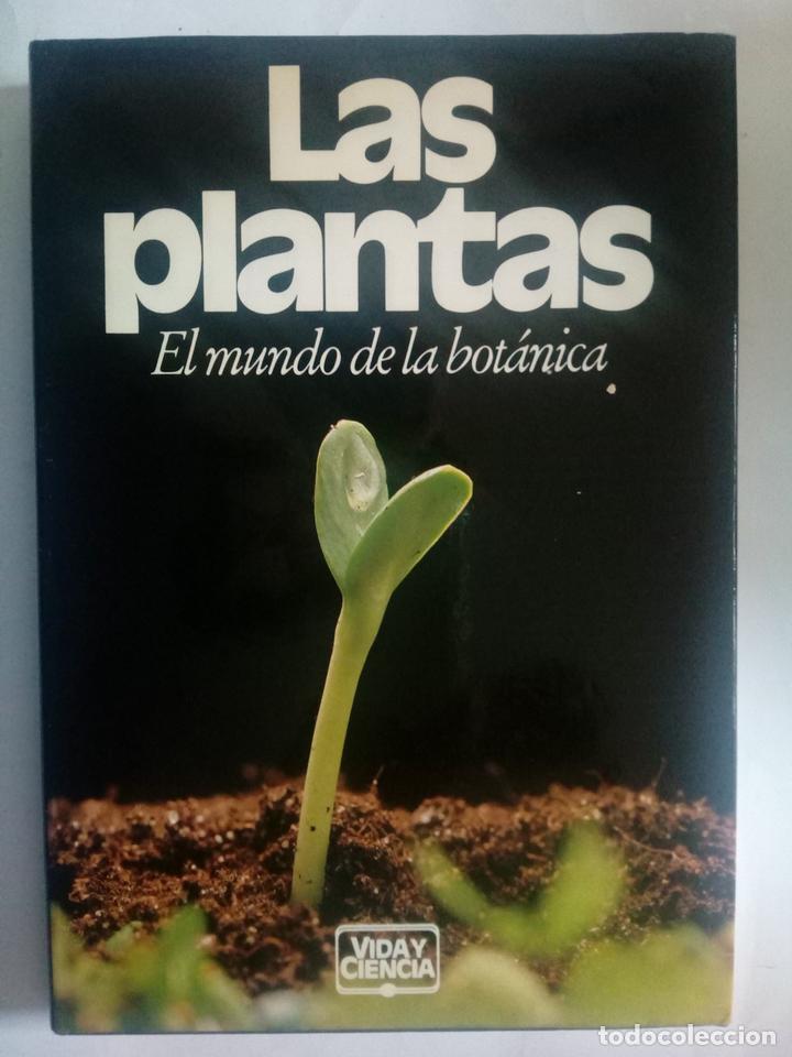 Libros: Las plantas. El mundo de la bot&aacute;nica - Ruth Binney - Foto 1
