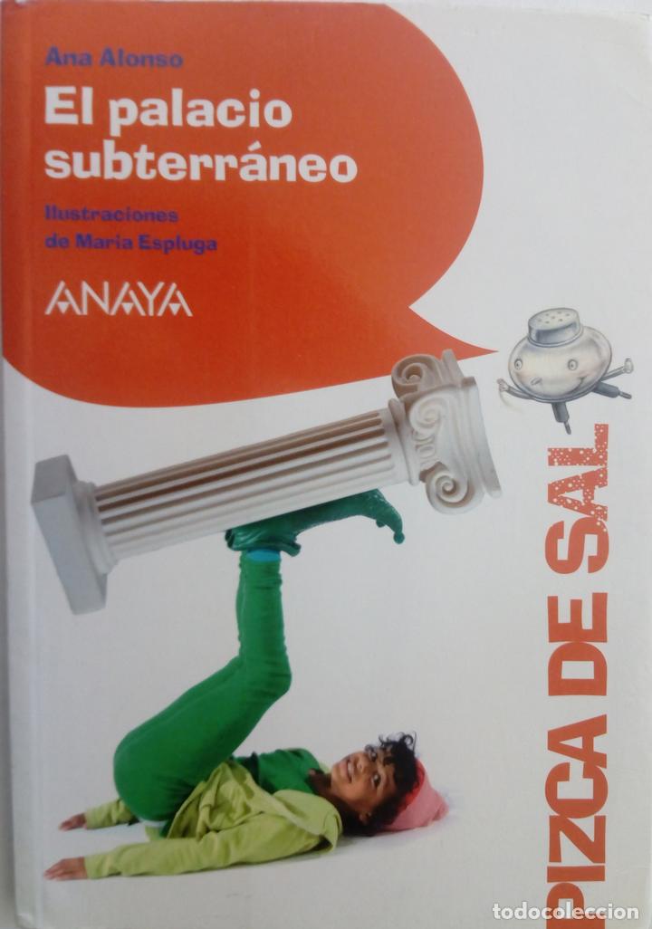 Libros: El palacio subterr&aacute;neo - Ana Alonso - Foto 1