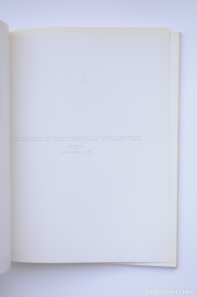 Libros: Luis Miguel Domingu&iacute;n - AUTORES VARIOS - Foto 2