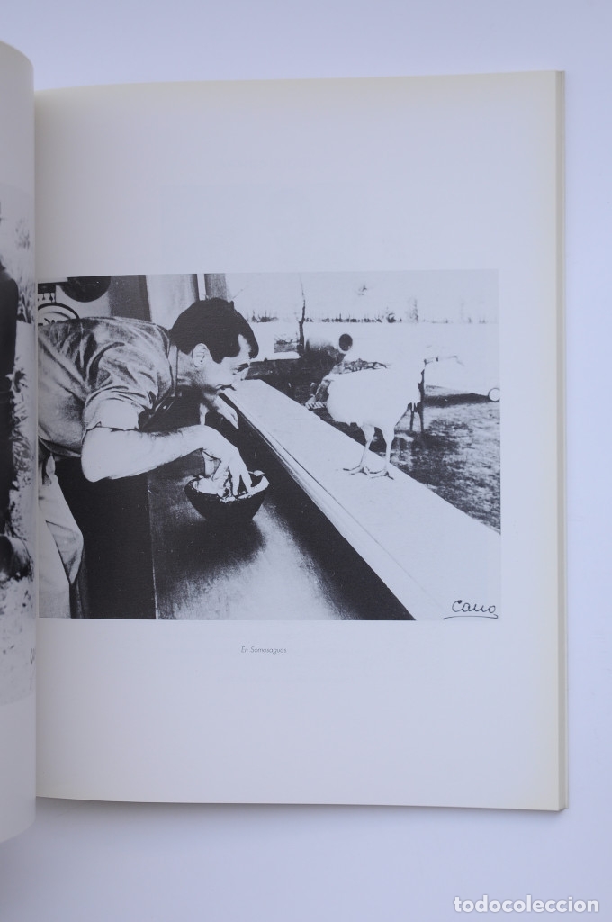 Libros: Luis Miguel Domingu&iacute;n - AUTORES VARIOS - Foto 3