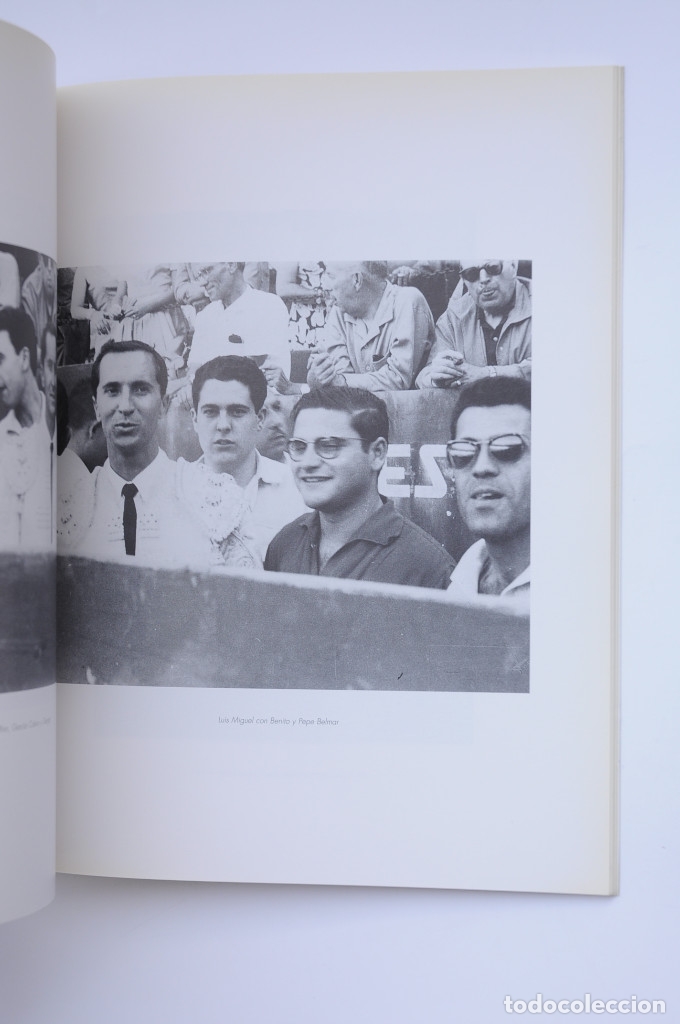 Libros: Luis Miguel Domingu&iacute;n - AUTORES VARIOS - Foto 6