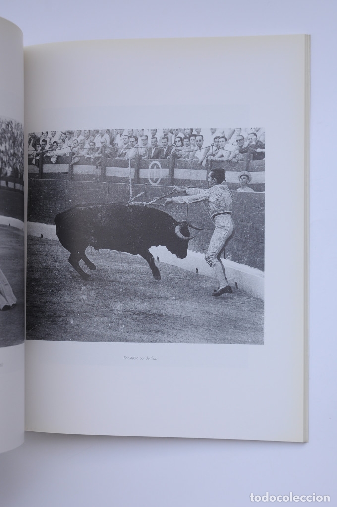 Libros: Luis Miguel Domingu&iacute;n - AUTORES VARIOS - Foto 7