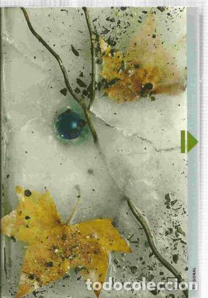Libros: EL SECRETO DE AMANDA - Schwarz,Christina - Foto 1