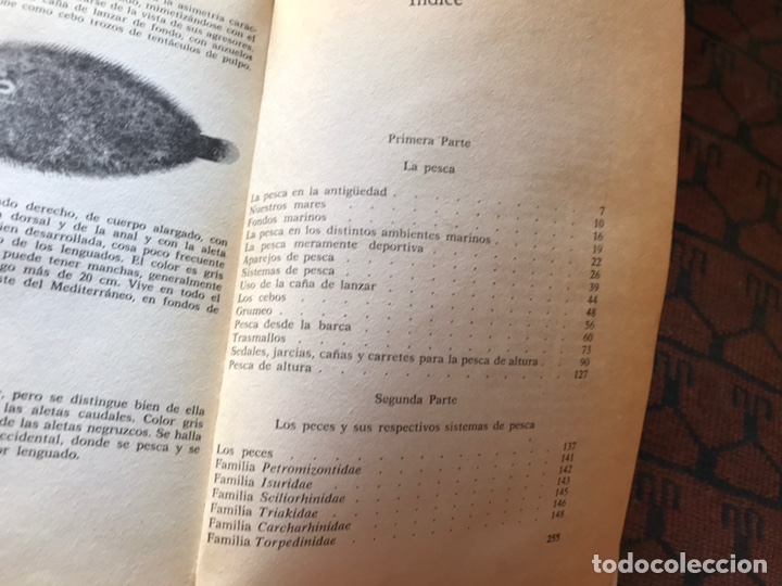 Libros: El Libro de la pesca en el mar. Alcide Mazzanti - Foto 5