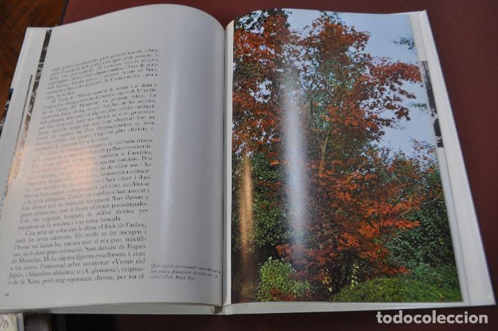 EL MONTSENY I LES SEVES QUATRE ESTACIONS - A. F. I CUSPINERA - LINGUA  CATALANO